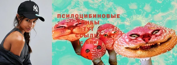 mix Баксан