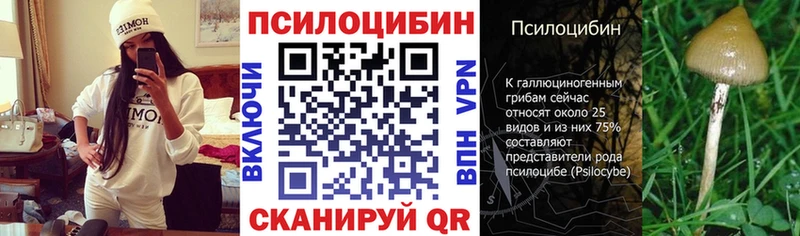 blacksprut как войти  Лабытнанги  Псилоцибиновые грибы Cubensis  как найти закладки 